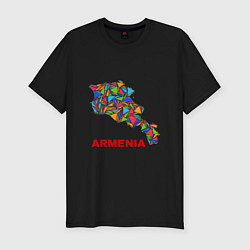 Мужская slim-футболка Armenian Color