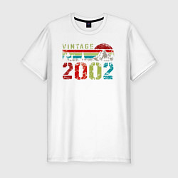 Мужская slim-футболка Винтаж 2002 горный пейзаж