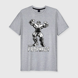 Футболка slim-fit The prophecy, цвет: меланж