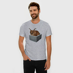 Футболка slim-fit Кот блоггер Шлепа, цвет: меланж — фото 2