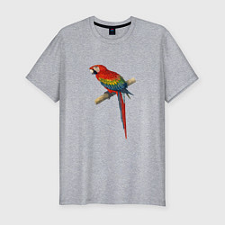 Футболка slim-fit Попугай ara macaw, цвет: меланж