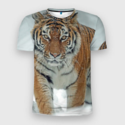 Мужская спорт-футболка Тигр
