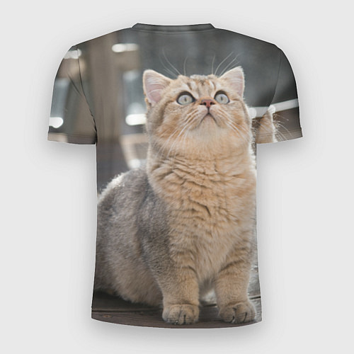 Мужская спорт-футболка Британская короткошёрстная кошка смотрит вверх / 3D-принт – фото 2