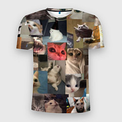 Мужская спорт-футболка Мемные котики