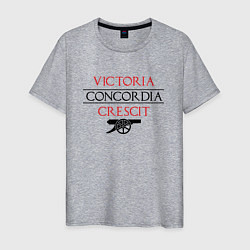 Футболка хлопковая мужская Arsenal: Concordia Crescit, цвет: меланж