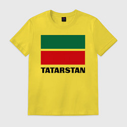 Мужская футболка Флаг Татарстана