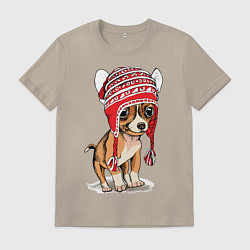 Мужская футболка Чихуахуа в шапочке