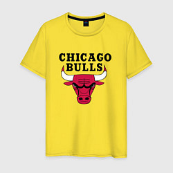 Футболка хлопковая мужская Chicago Bulls, цвет: желтый