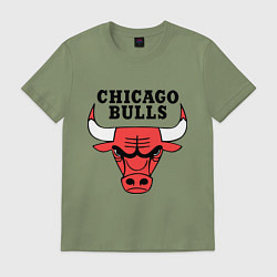 Футболка хлопковая мужская Chicago Bulls, цвет: авокадо
