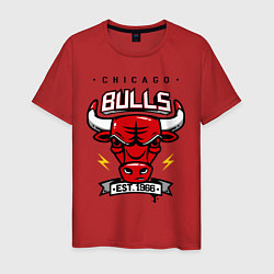Футболка хлопковая мужская Chicago Bulls est. 1966 цвета красный — фото 1