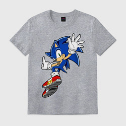 Футболка хлопковая мужская Sonic, цвет: меланж