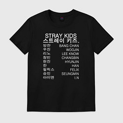 Футболка хлопковая мужская Stray Kids, цвет: черный
