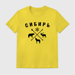 Мужская футболка Сибирь