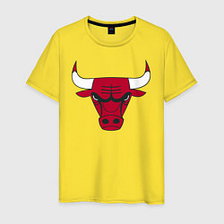 Футболка хлопковая мужская Chicago Bulls, цвет: желтый