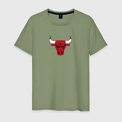 Футболка хлопковая мужская CHICAGO BULLS, цвет: авокадо