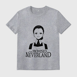 Футболка хлопковая мужская Изабелла мама Z, цвет: меланж