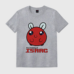 Футболка хлопковая мужская The binding of isaac Monsters, цвет: меланж