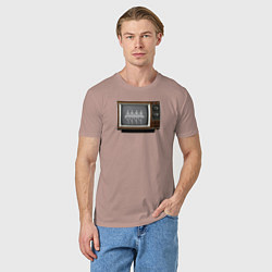 Футболка хлопковая мужская Лебединое по ТВ, цвет: пыльно-розовый — фото 2