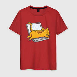 Футболка хлопковая мужская Котик лежит на ноутбуке, цвет: красный