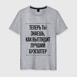 Футболка хлопковая мужская Теперь ты знаешь как выглядит лучший Бухгалтер, цвет: меланж