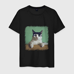 Футболка хлопковая мужская Мем - голодный кот, цвет: черный