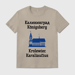 Мужская футболка Калининград