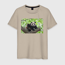 Футболка хлопковая мужская Медведь панда на дереве, цвет: миндальный