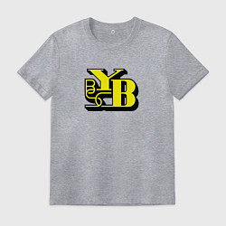 Мужская футболка Young Boys sport fc