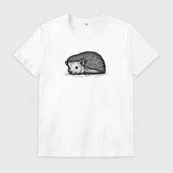Футболка хлопковая мужская Ежик притаился, цвет: белый