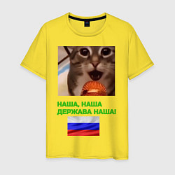Футболка хлопковая мужская Мем-кот с микрофоном Держава Раша, цвет: желтый