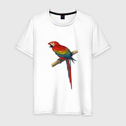 Футболка хлопковая мужская Попугай ara macaw, цвет: белый