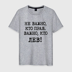 Футболка хлопковая мужская Не важно кто прав, главное кто лев - каламбурный ю, цвет: меланж