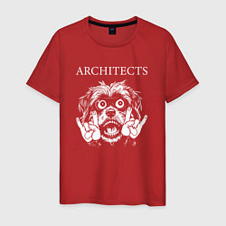 Футболка хлопковая мужская Architects rock dog, цвет: красный