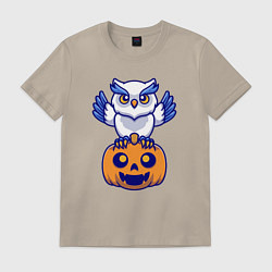 Футболка хлопковая мужская Halloween owl, цвет: миндальный