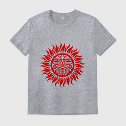 Футболка хлопковая мужская Солнце древний символ, цвет: меланж