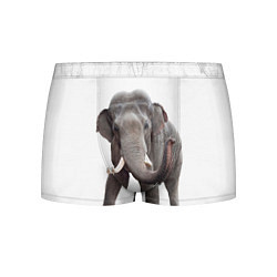 Трусы-боксеры мужские Большой слон, цвет: 3D-принт
