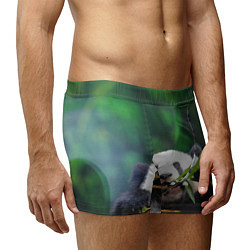 Трусы-боксеры мужские Панда на ветке, цвет: 3D-принт — фото 2