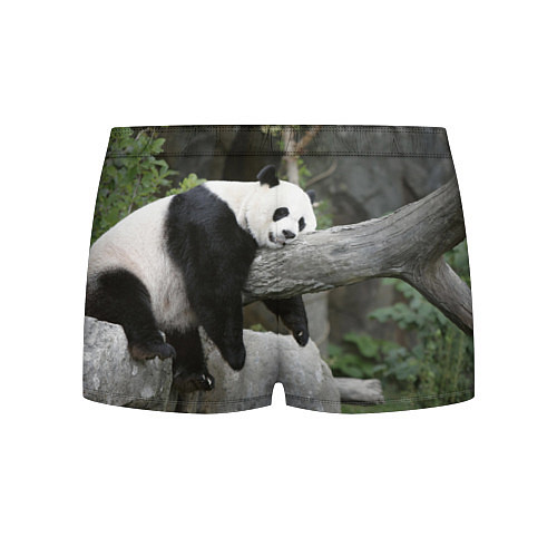 Мужские трусы Большая уставшая панда / 3D-принт – фото 2