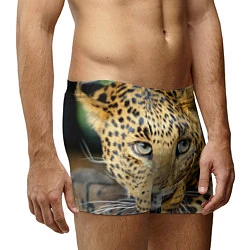 Трусы-боксеры мужские Улыбка леопарда, цвет: 3D-принт — фото 2