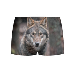 Трусы-боксеры мужские Волк - санитар леса цвета 3D-принт — фото 1