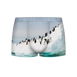 Трусы-боксеры мужские Пингвины на айсберге, цвет: 3D-принт
