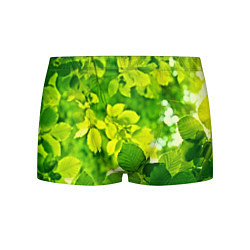 Трусы-боксеры мужские Зелёные листья, цвет: 3D-принт