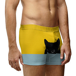 Трусы-боксеры мужские Черная кошка, цвет: 3D-принт — фото 2