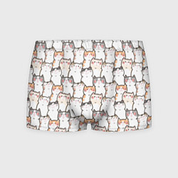 Мужские трусы Кошки котики коты