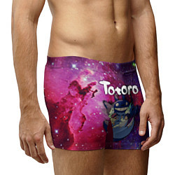 Трусы-боксеры мужские Totoro, цвет: 3D-принт — фото 2