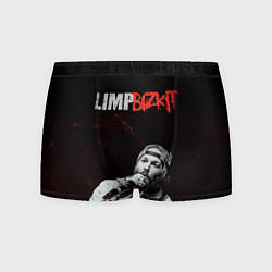 Трусы-боксеры мужские Limp Bizkit, цвет: 3D-принт