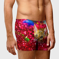 Трусы-боксеры мужские КОТИК, цвет: 3D-принт — фото 2