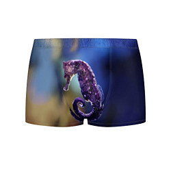 Трусы-боксеры мужские Морской конёк, цвет: 3D-принт