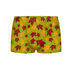 Трусы-боксеры мужские Осенние листья клён и дуб, цвет: 3D-принт
