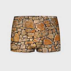 Трусы-боксеры мужские Каменная стена, цвет: 3D-принт